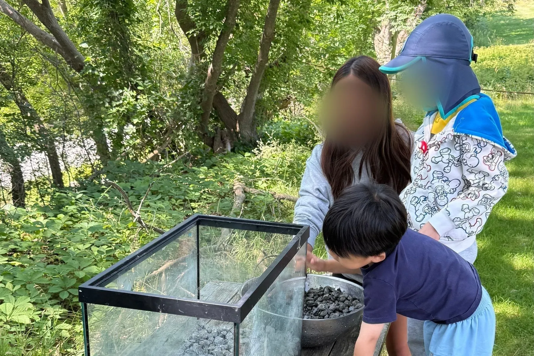 Two children and an adult examining a tray of stones on a weathered picnic table beside the treeline.