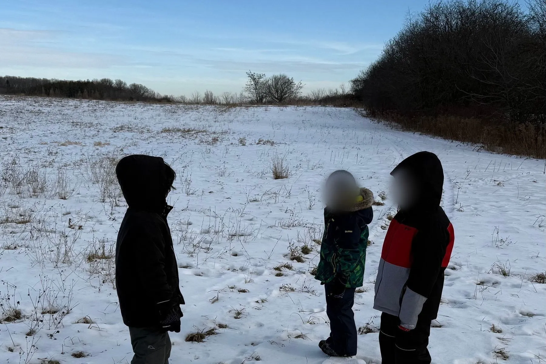 Three children in winter coats out in the snow-covered meadow, treeline behind them.