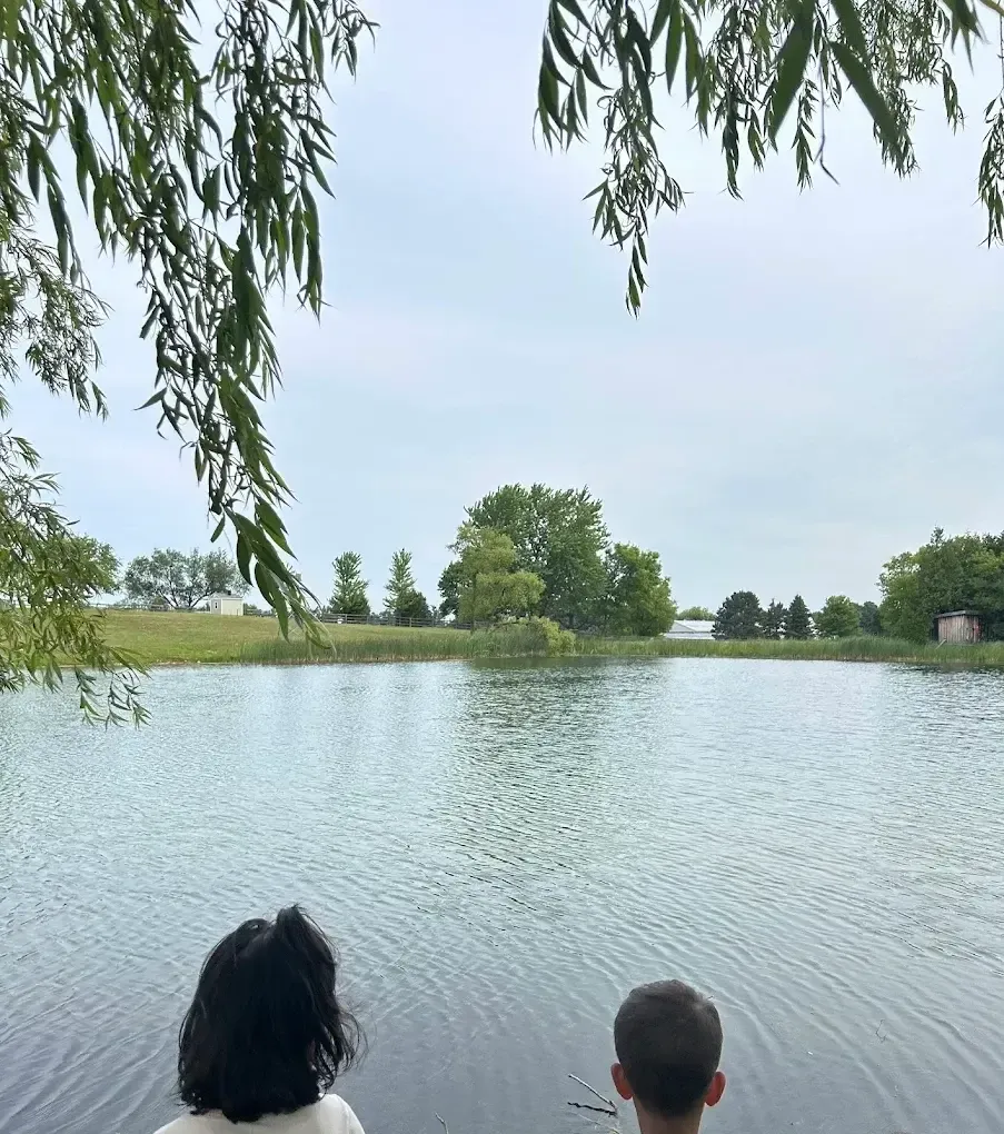 Two children sitting at the edge of the pond, willow branches hanging over the water.