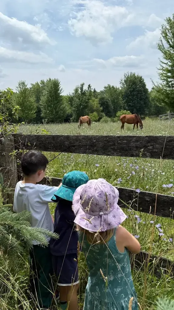 Three children in sun hats leaning on a fence, watching two horses graze in the meadow beyond.