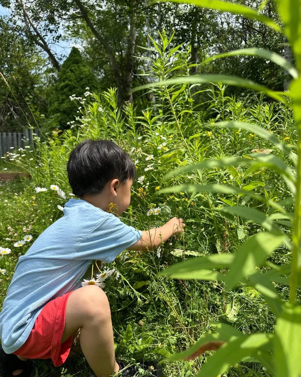 A child crouched among tall wildflowers and daisies, reaching toward a bloom.