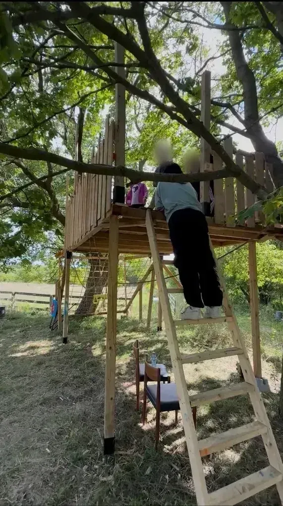 Children climbing the ladder into the timber treehouse built between two trees.